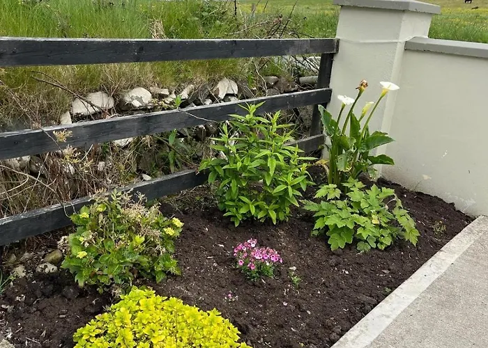 Loophead Self Catering Kilrush